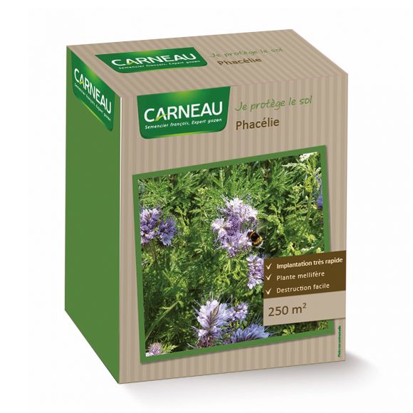 Phacélie à semer, fertilisant naturel, 0,5 kg, Carneau.