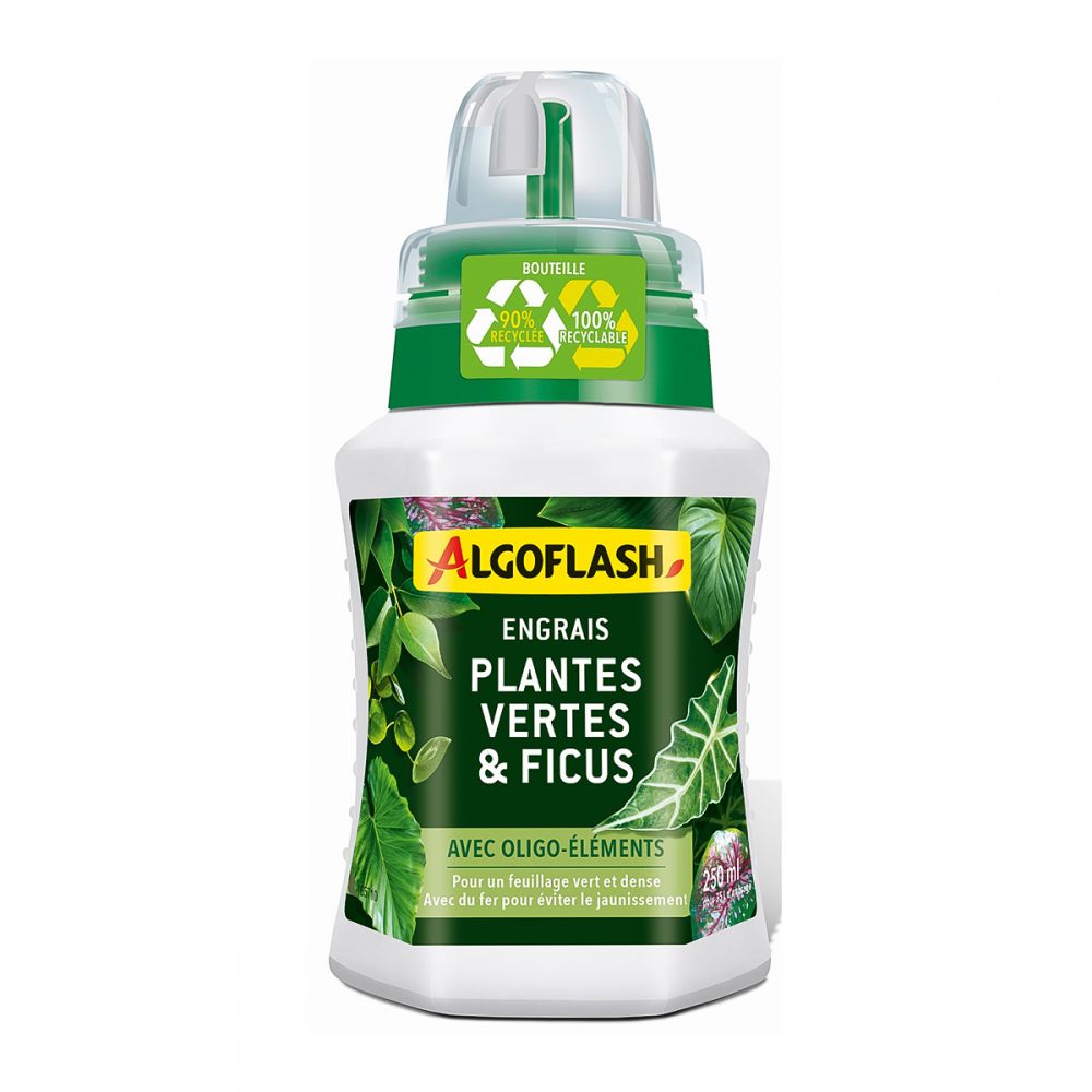 Engrais Liquide Plantes Vertes et Ficus Algoflash.