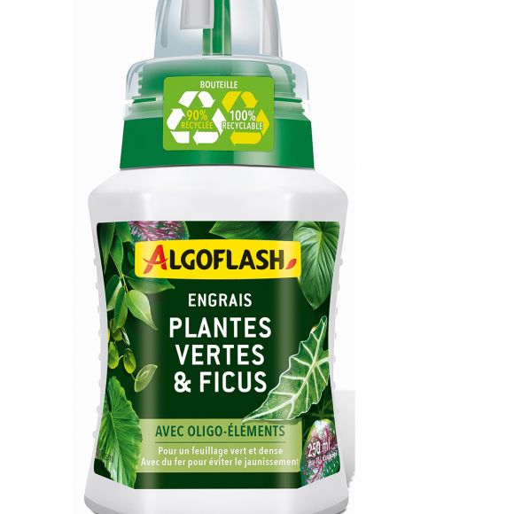 Engrais Liquide Plantes Vertes et Ficus, 1 L Algoflash.