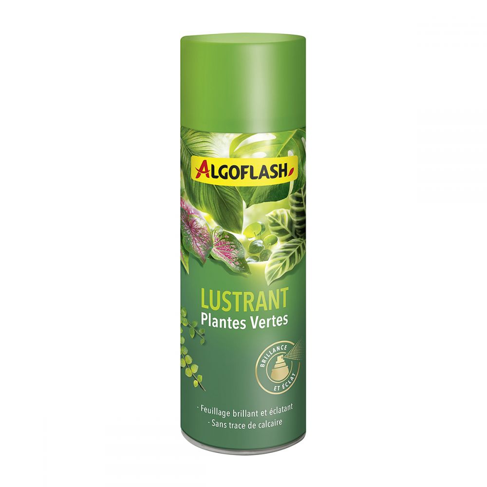 Lustrant Plantes Vertes Algoflash, aérosol 250 mL.