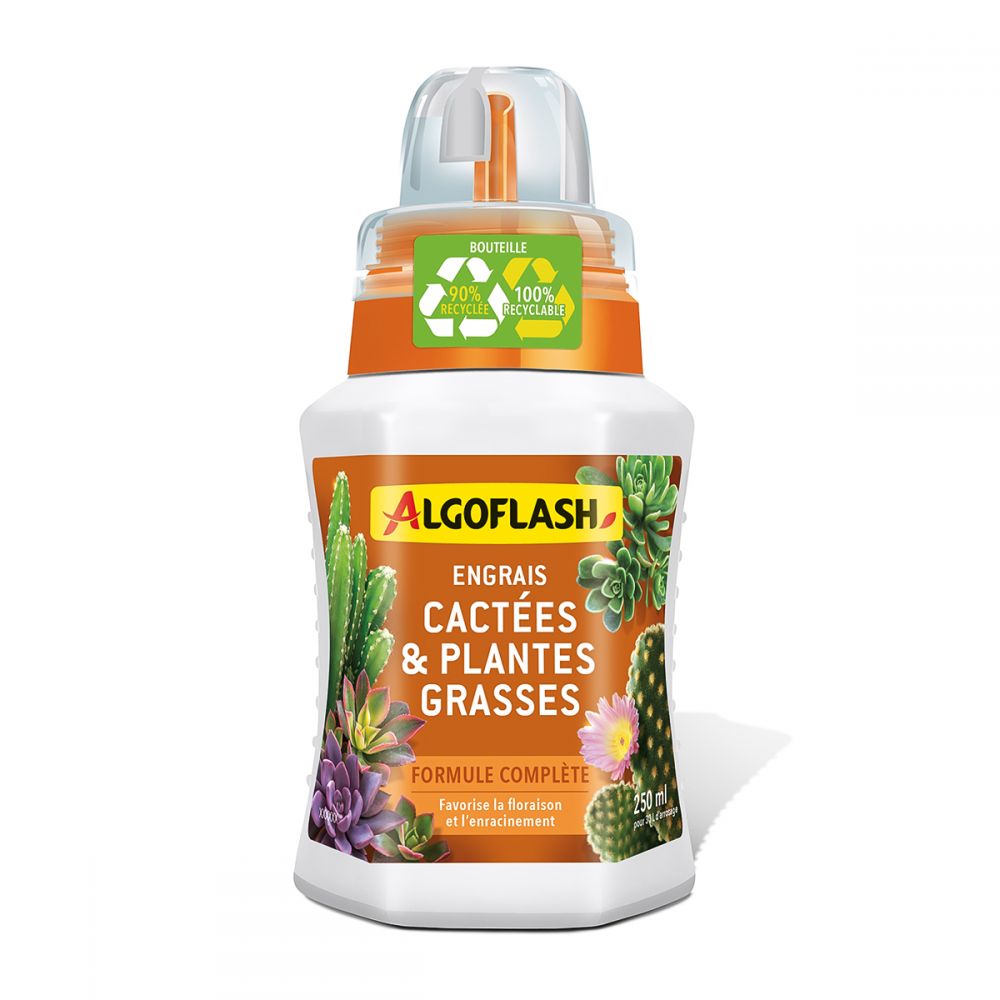 Engrais liquide 250mL Cactées Et Plantes Grasses Algoflash.