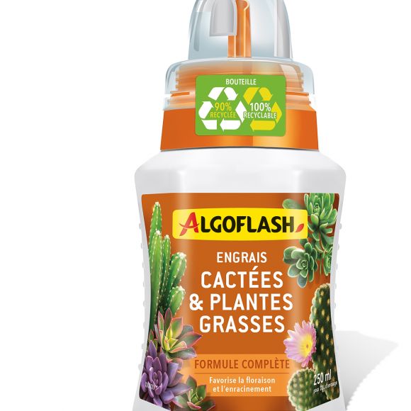 Engrais liquide 250mL Cactées Et Plantes Grasses Algoflash.