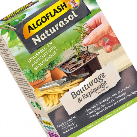 Bouturage & Repiquage, 5 sachets dose de 5 g Algoflash Naturasol.