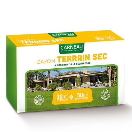 Gazon Terrain Sec Carneau