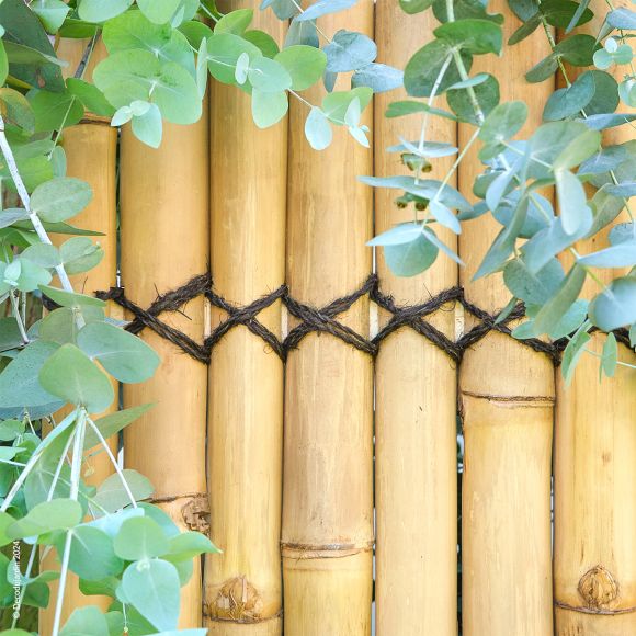 Panneau de Bambou